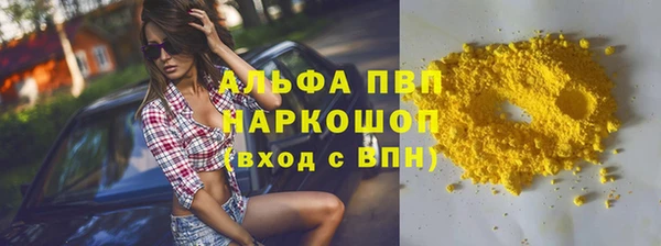 ПСИЛОЦИБИНОВЫЕ ГРИБЫ Иннополис