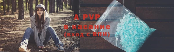 индика Каменск-Шахтинский