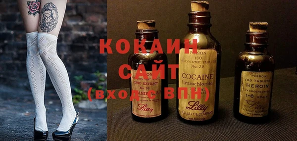 мет Инсар