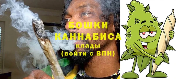 мет Инсар