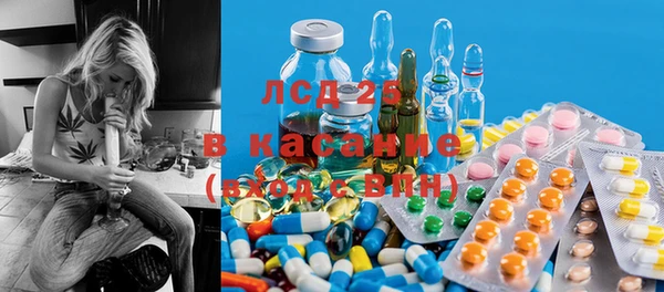 ПСИЛОЦИБИНОВЫЕ ГРИБЫ Иннополис