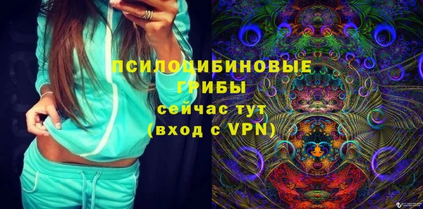 мет Инсар