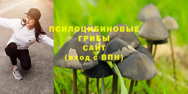 ПСИЛОЦИБИНОВЫЕ ГРИБЫ Иннополис