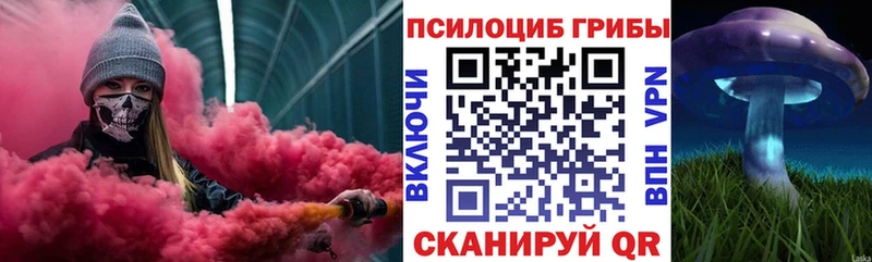Галлюциногенные грибы Cubensis  Купить где  Артёмовский 
